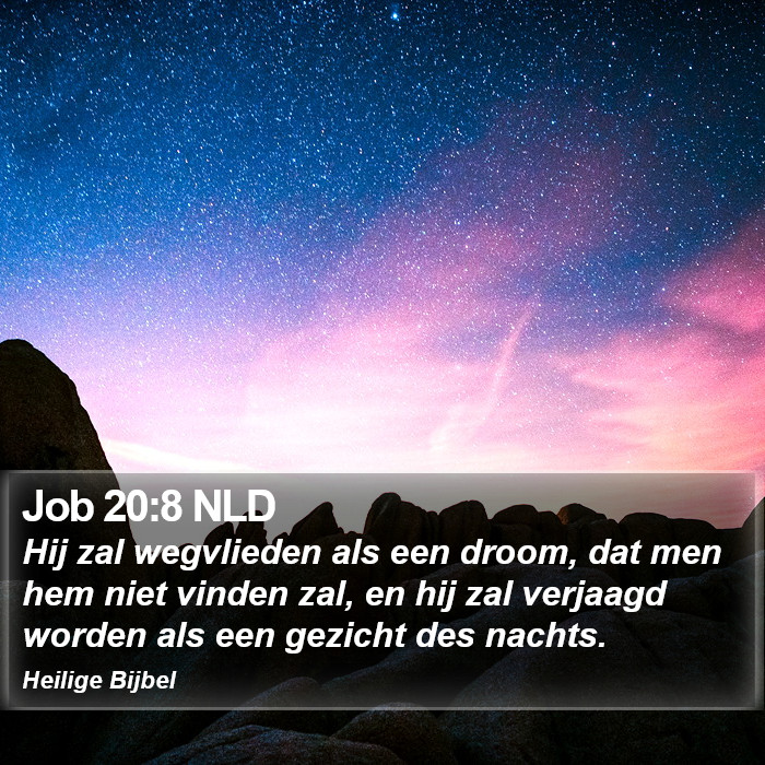 Job 20:8 NLD Bible Study