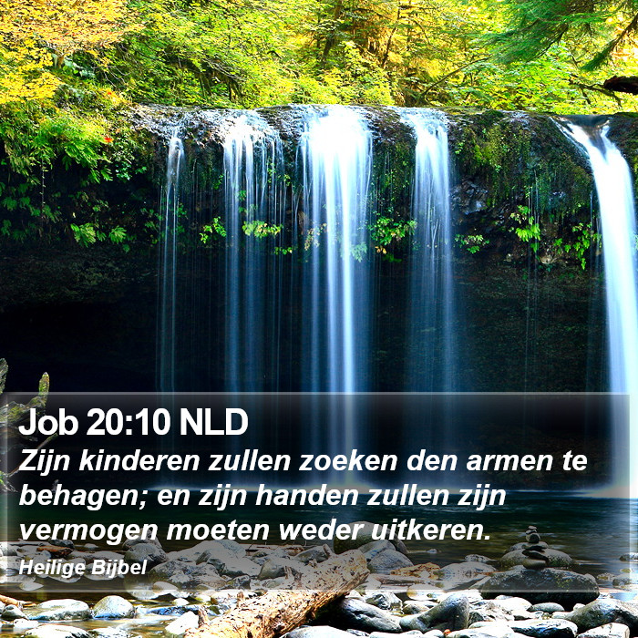 Job 20:10 NLD Bible Study