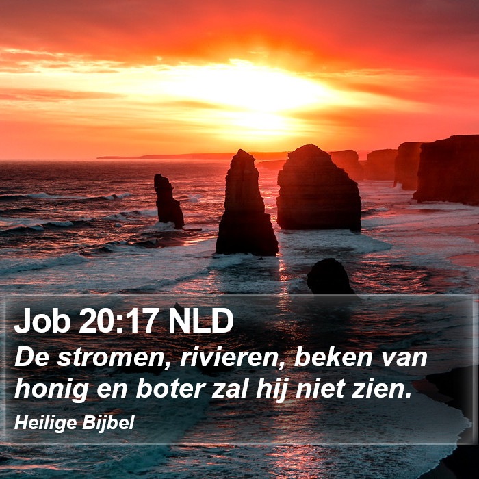 Job 20:17 NLD Bible Study