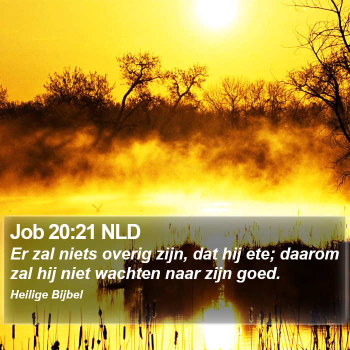 Job 20:21 NLD Bible Study