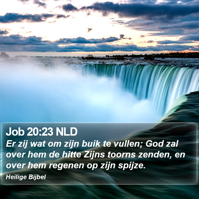 Job 20:23 NLD Bible Study