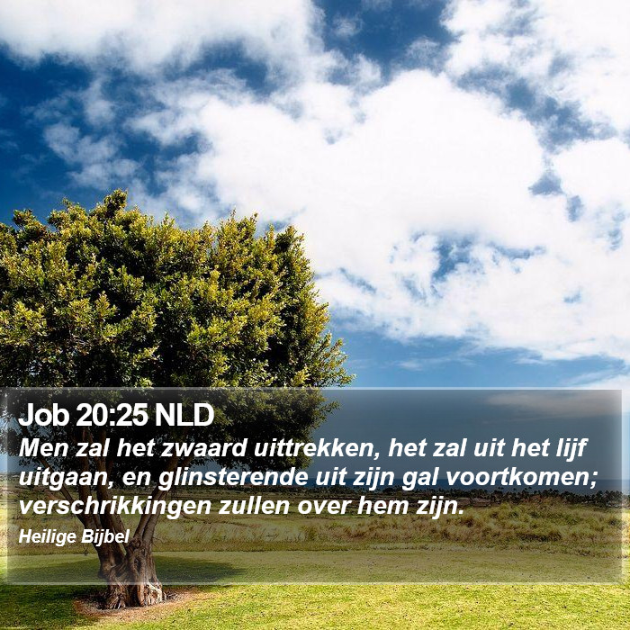 Job 20:25 NLD Bible Study