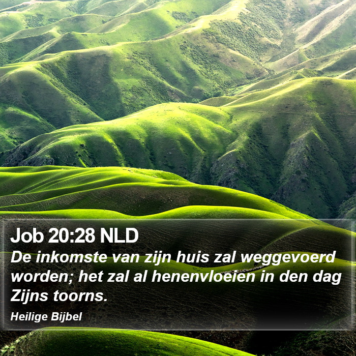 Job 20:28 NLD Bible Study