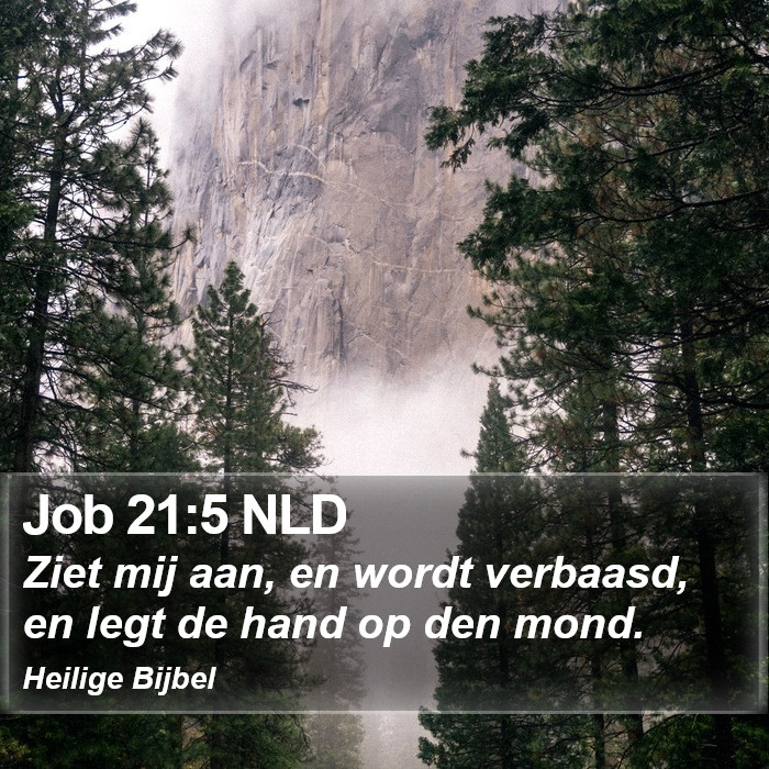 Job 21:5 NLD Bible Study