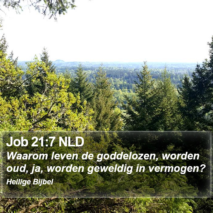 Job 21:7 NLD Bible Study