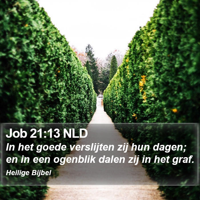 Job 21:13 NLD Bible Study