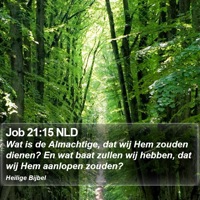 Job 21:15 NLD Bible Study