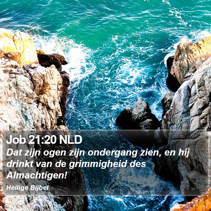 Job 21:20 NLD Bible Study