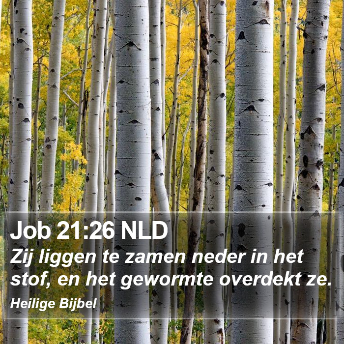 Job 21:26 NLD Bible Study