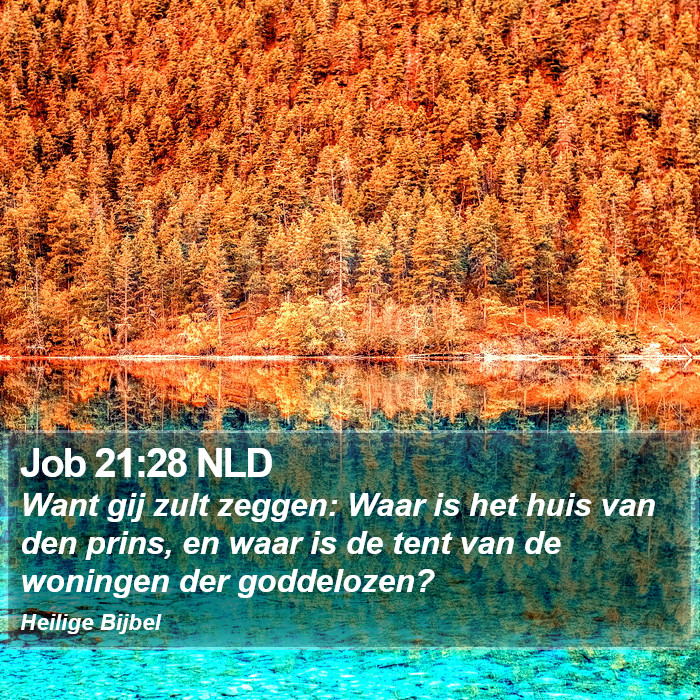 Job 21:28 NLD Bible Study