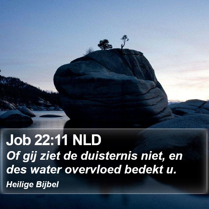 Job 22:11 NLD Bible Study