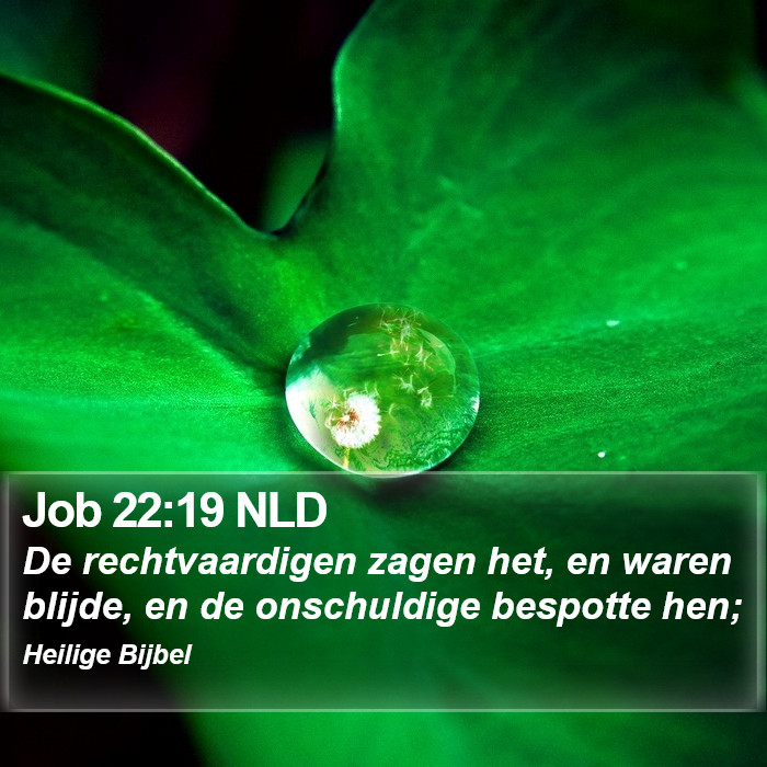 Job 22:19 NLD Bible Study