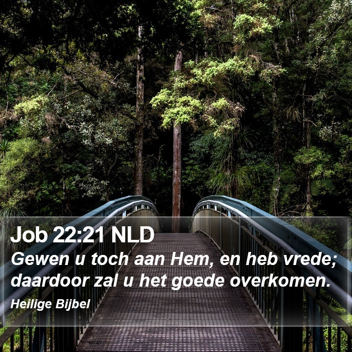 Job 22:21 NLD Bible Study