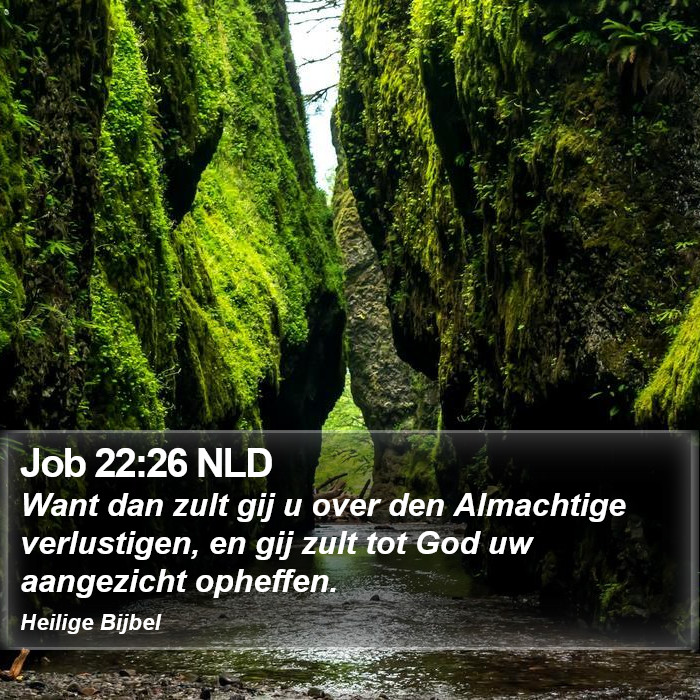 Job 22:26 NLD Bible Study