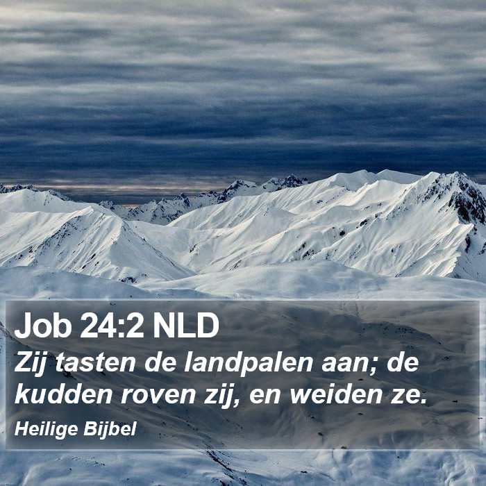 Job 24:2 NLD Bible Study