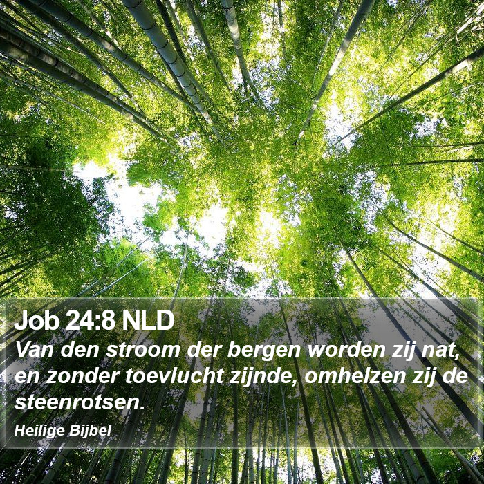 Job 24:8 NLD Bible Study
