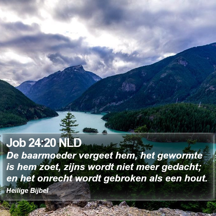 Job 24:20 NLD Bible Study