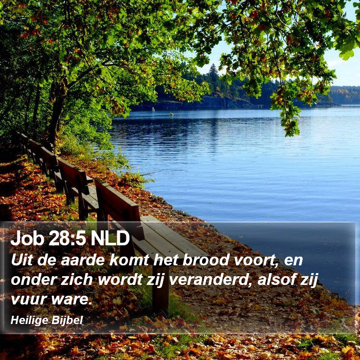 Job 28:5 NLD Bible Study