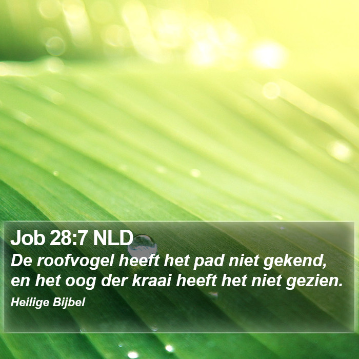 Job 28:7 NLD Bible Study