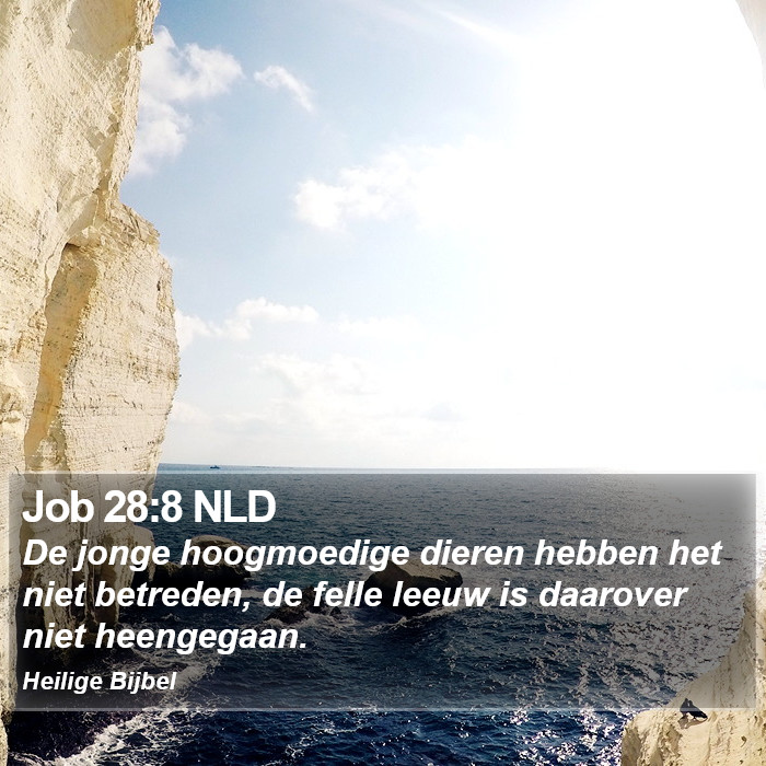 Job 28:8 NLD Bible Study