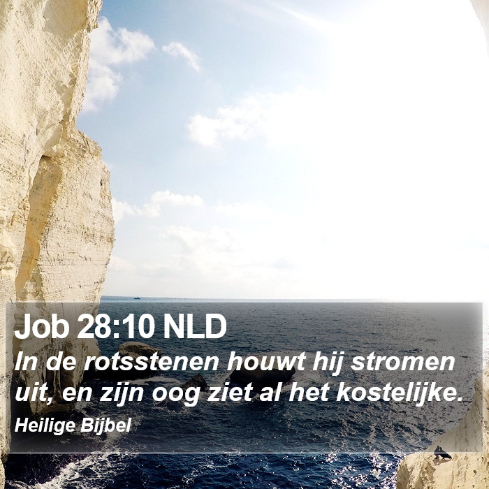 Job 28:10 NLD Bible Study