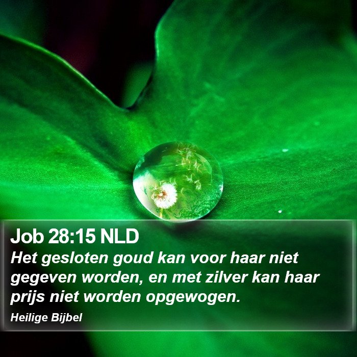 Job 28:15 NLD Bible Study