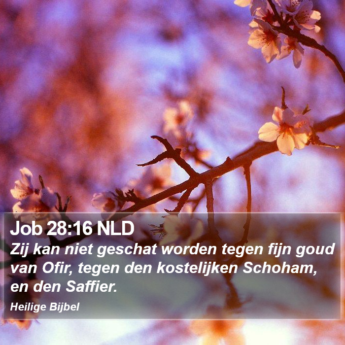 Job 28:16 NLD Bible Study