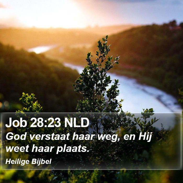 Job 28:23 NLD Bible Study