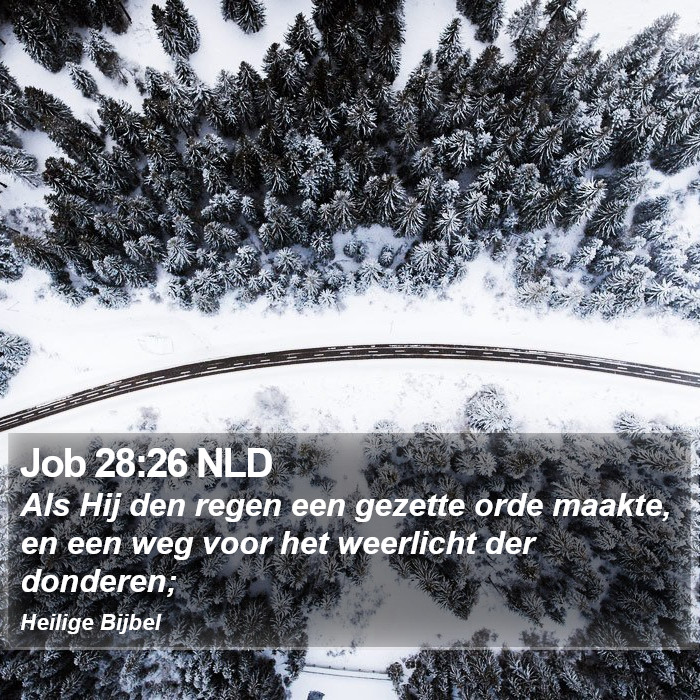 Job 28:26 NLD Bible Study