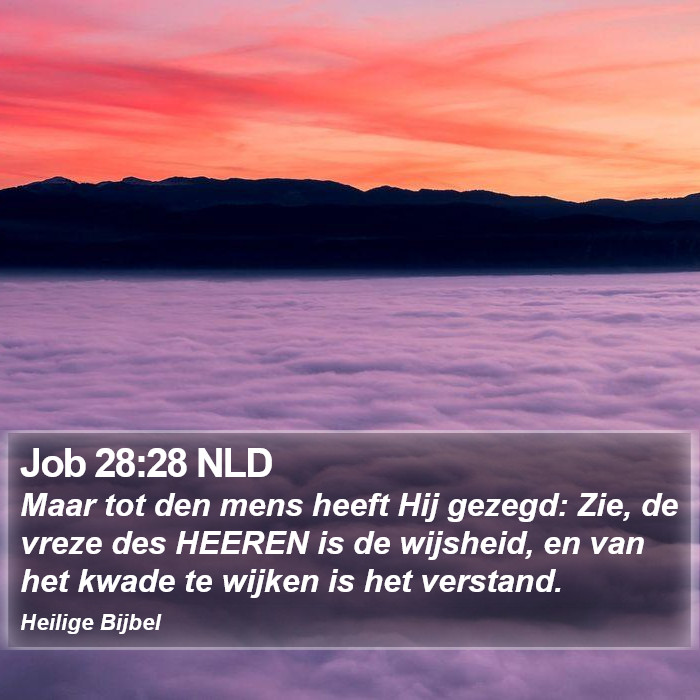 Job 28:28 NLD Bible Study