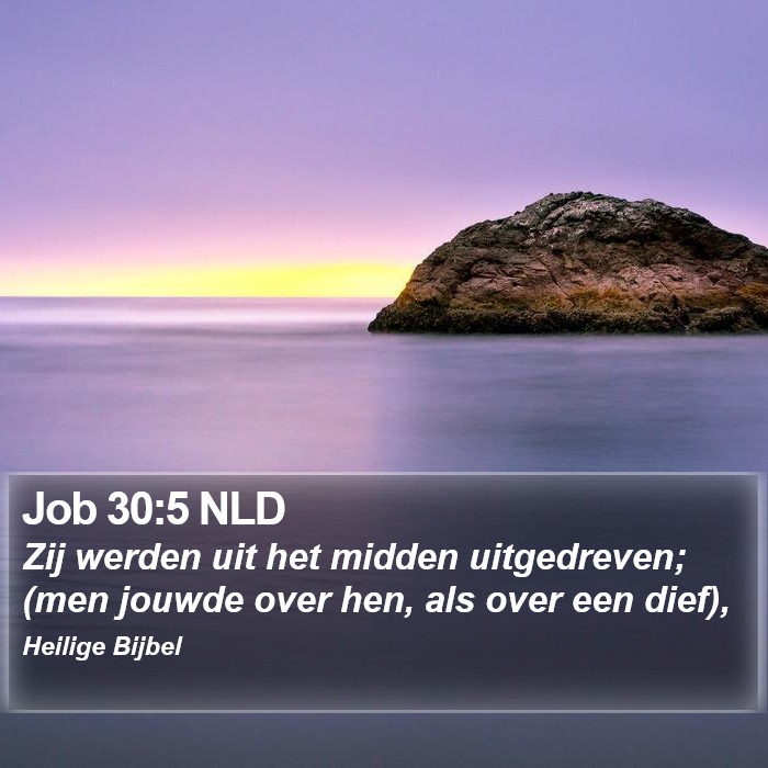Job 30:5 NLD Bible Study
