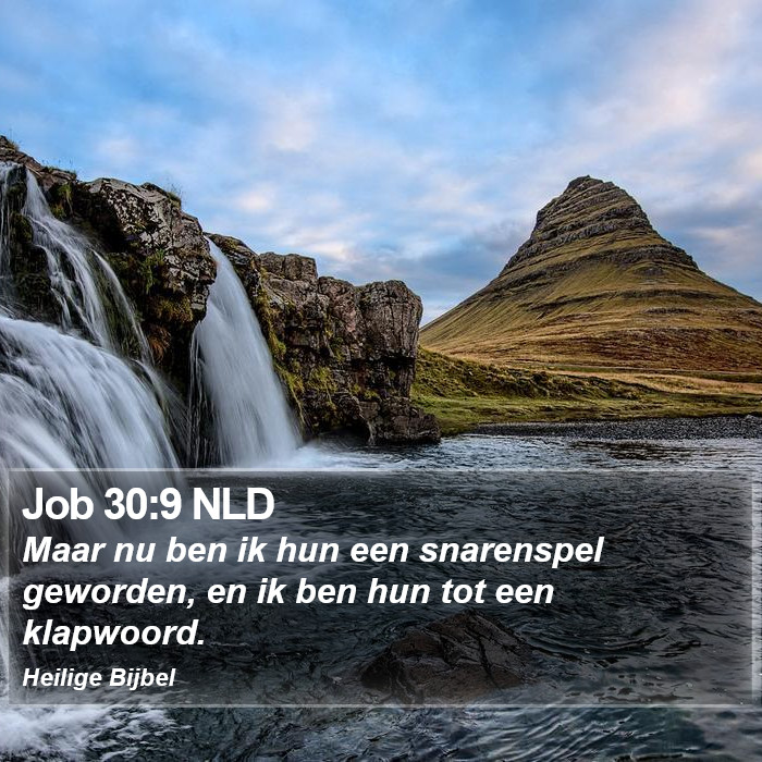 Job 30:9 NLD Bible Study