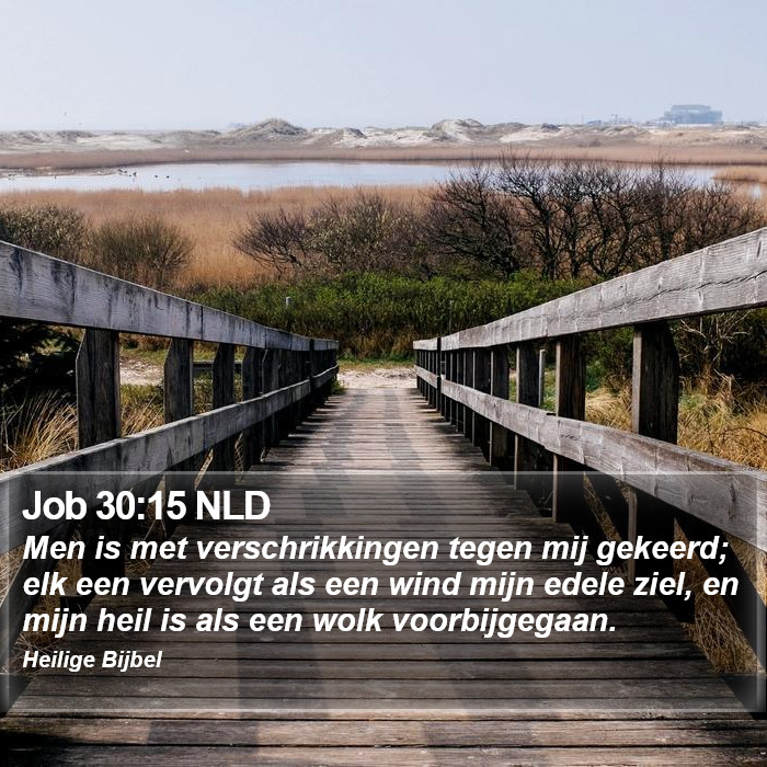 Job 30:15 NLD Bible Study