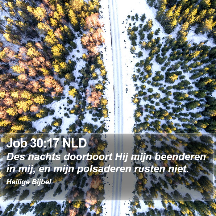 Job 30:17 NLD Bible Study