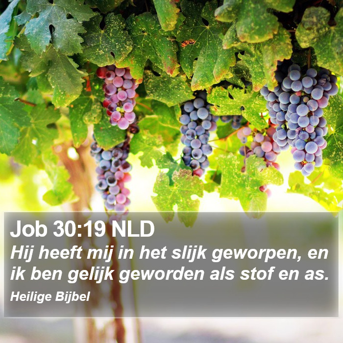 Job 30:19 NLD Bible Study