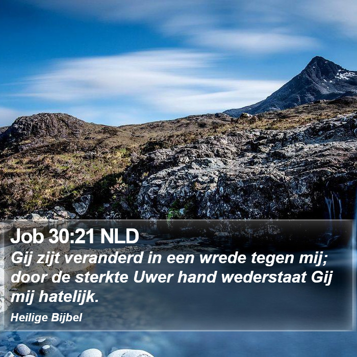 Job 30:21 NLD Bible Study