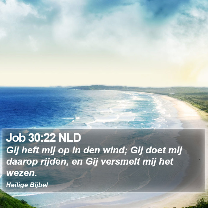 Job 30:22 NLD Bible Study