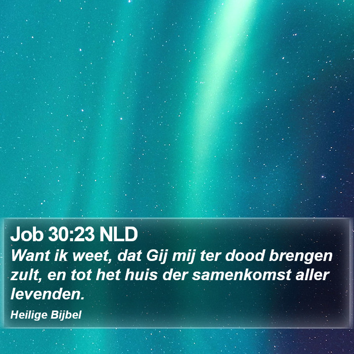 Job 30:23 NLD Bible Study