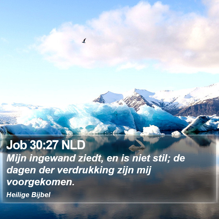Job 30:27 NLD Bible Study