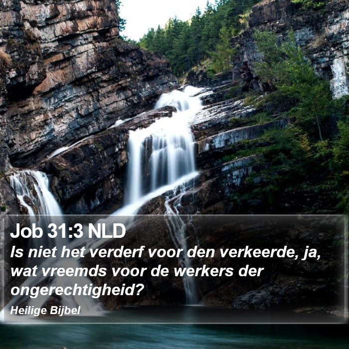 Job 31:3 NLD Bible Study