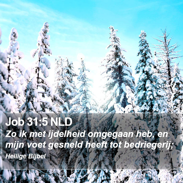 Job 31:5 NLD Bible Study