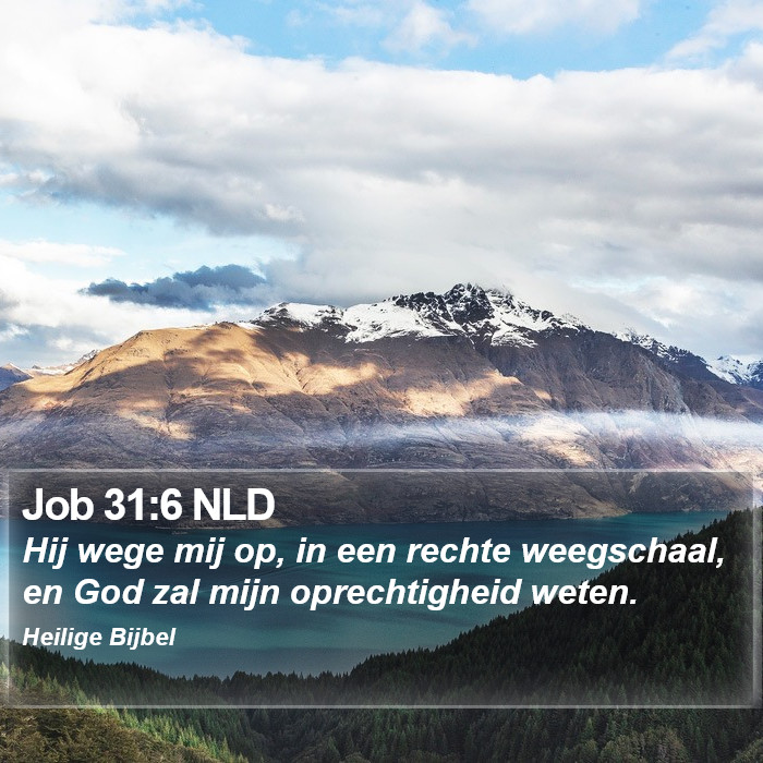 Job 31:6 NLD Bible Study