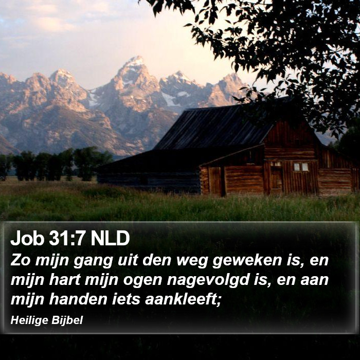 Job 31:7 NLD Bible Study