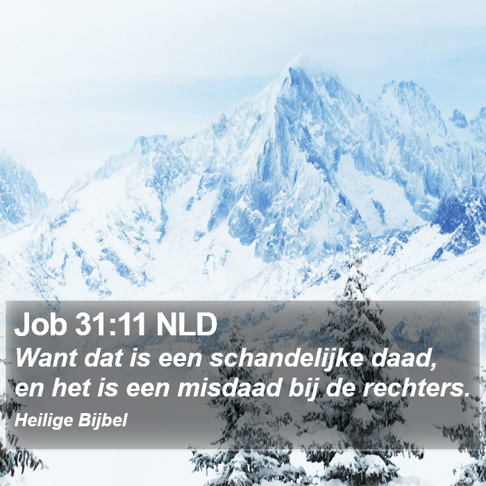 Job 31:11 NLD Bible Study