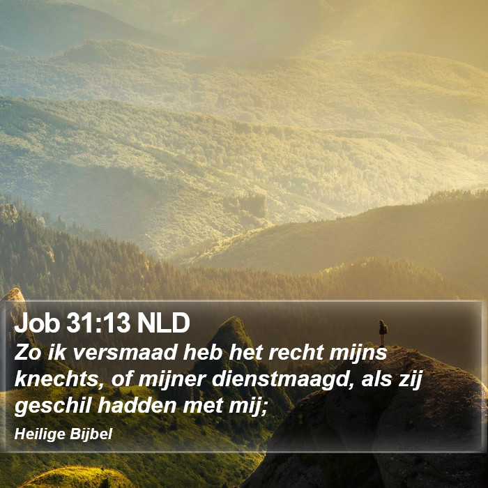 Job 31:13 NLD Bible Study