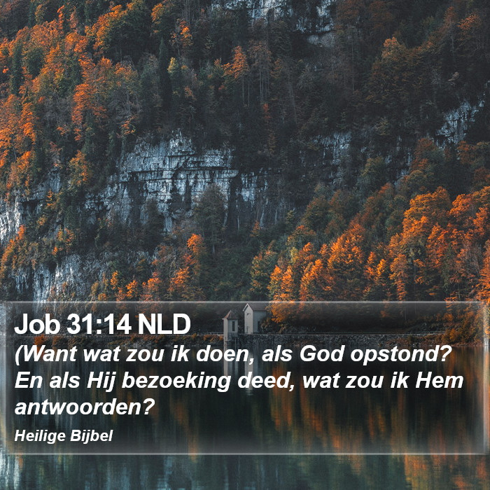 Job 31:14 NLD Bible Study