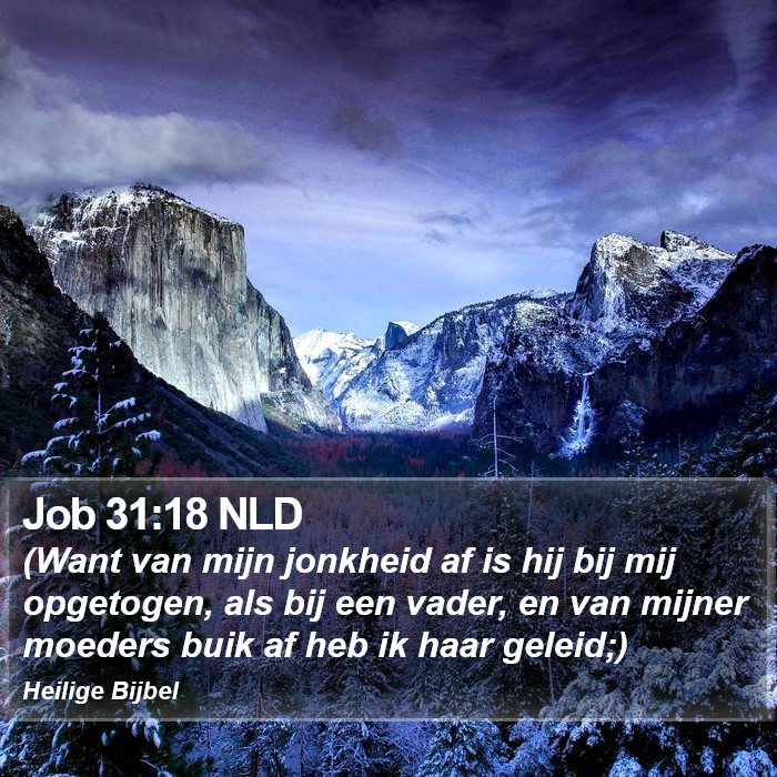 Job 31:18 NLD Bible Study