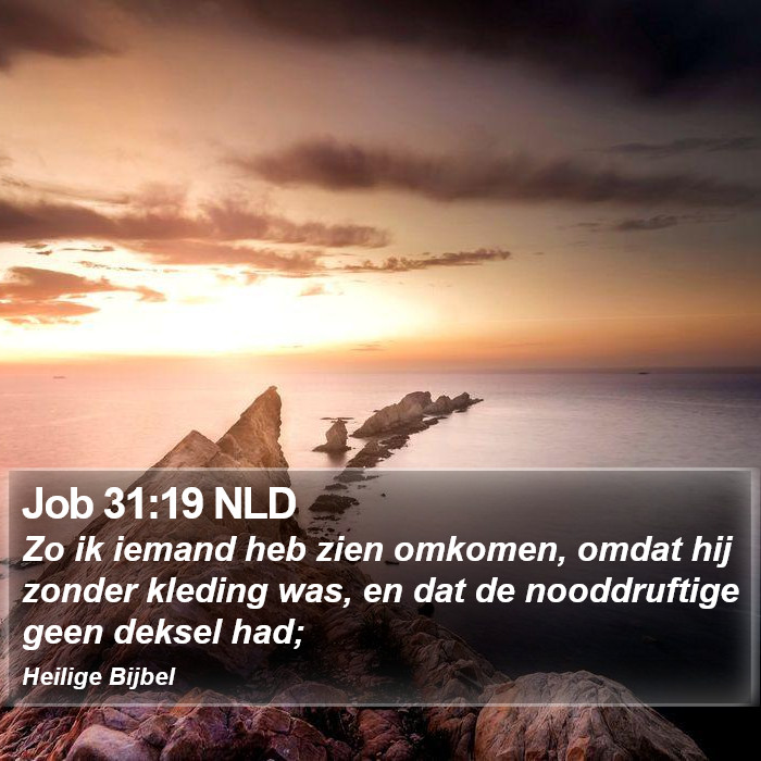 Job 31:19 NLD Bible Study