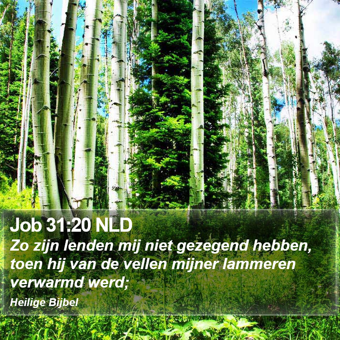 Job 31:20 NLD Bible Study