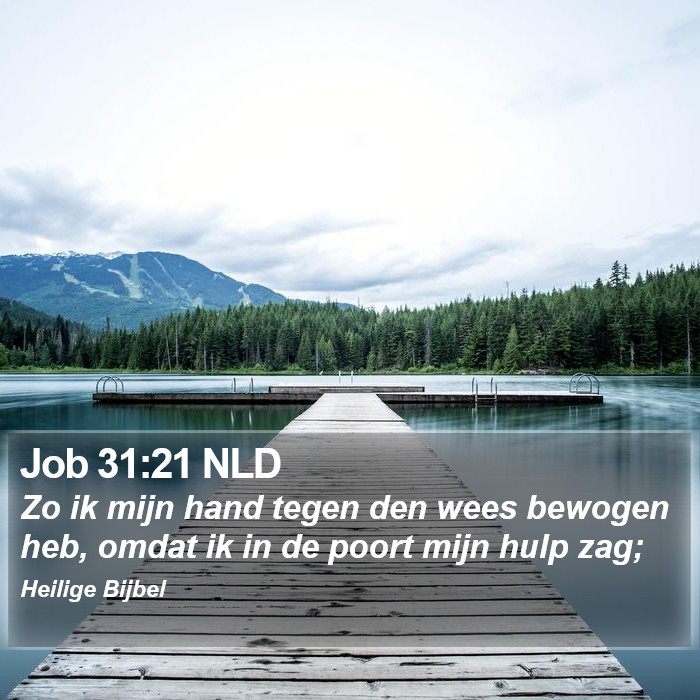 Job 31:21 NLD Bible Study